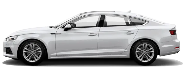 İbis Beyazı Fabrika Çıkış Rengi