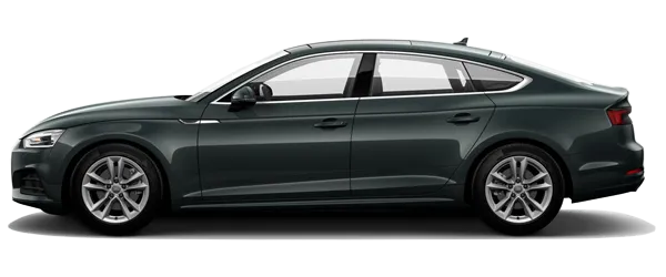 Koyu Yeşil Fabrika Çıkış Rengi