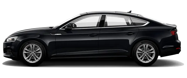 Metalik Mitos Siyahı Fabrika Çıkış Rengi