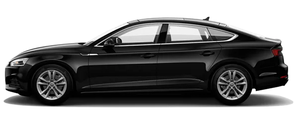 Parlak Siyah Fabrika Çıkış Rengi