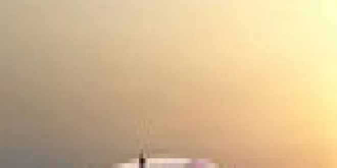 Audi A7 2024 Audi  A7 - 2