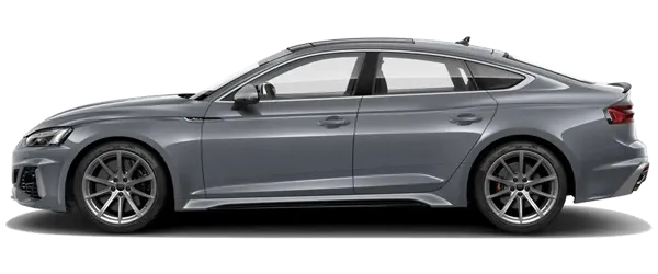 Nardo Gri Fabrika Çıkış Rengi