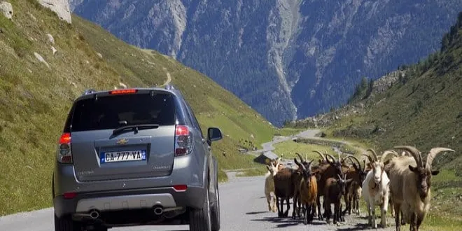 Chevrolet Captiva 2012 Chevrolet  Captiva - 2