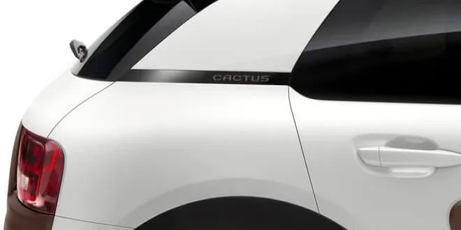 Citroen C4 Cactus 2017 Citroen  C4 Cactus - 7