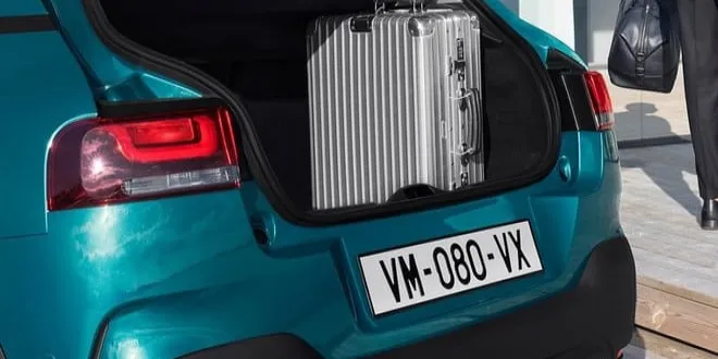 Citroen C4 Cactus 2019 Citroen  C4 Cactus - 10