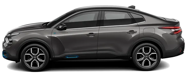 Platin Gri Metalik Fabrika Çıkış Rengi