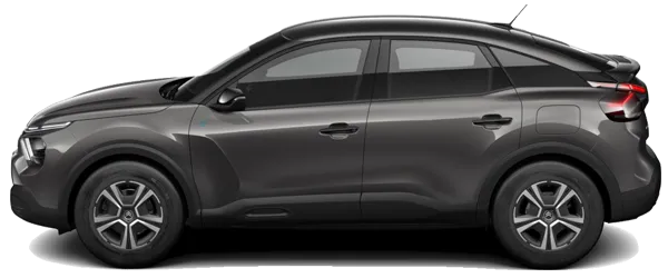 Platin Gri Metalik Fabrika Çıkış Rengi