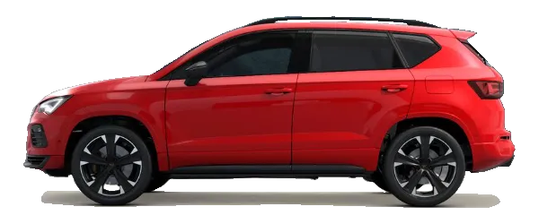 Kırmızı Fabrika Çıkış Rengi