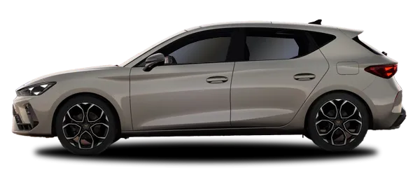 Tayga Gri Fabrika Çıkış Rengi