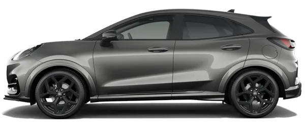 Manyetik Metalik Fabrika Çıkış Rengi