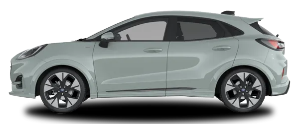 Kaktüs Gri Fabrika Çıkış Rengi