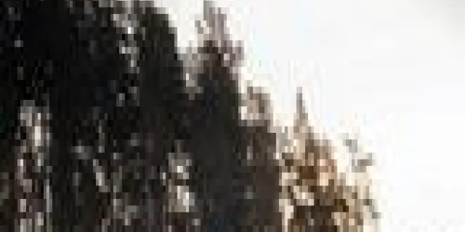 Ford Ranger 2020 Ford  Ranger - 2