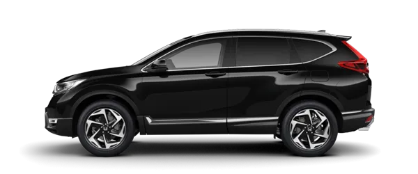 Siyah İnci Metalik Fabrika Çıkış Rengi