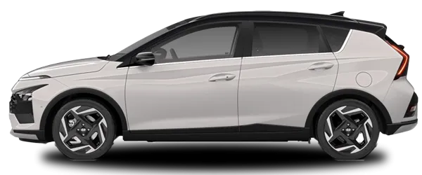 Bulut Gri (Siyah Tavan) Fabrika Çıkış Rengi