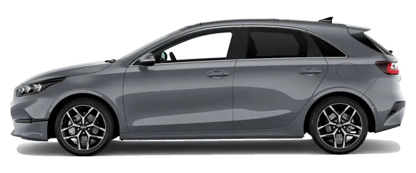 2024 Model Kia Ceed Aytaşı Gri