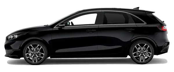 Siyah İnci Metalik Fabrika Çıkış Rengi