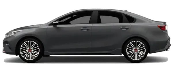 Platinum Gri Fabrika Çıkış Rengi