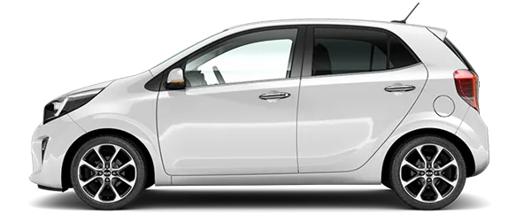 Alp Beyazı Fabrika Çıkış Rengi