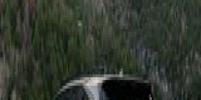 Kia Sorento 2024 Kia  Sorento - 3