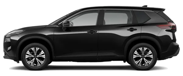 Elmas Siyah Fabrika Çıkış Rengi