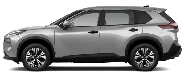 Gümüş Fabrika Çıkış Rengi