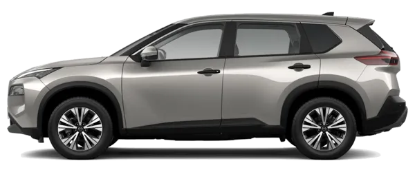 Şampanya Gümüşü Fabrika Çıkış Rengi