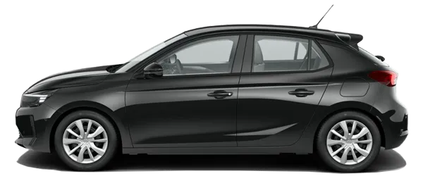 Elmas Siyah Metalik Fabrika Çıkış Rengi