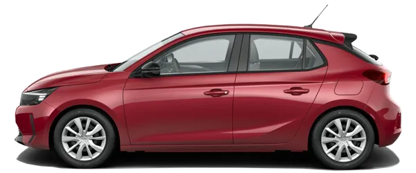 Metalik Kardiyo Kırmızı Fabrika Çıkış Rengi