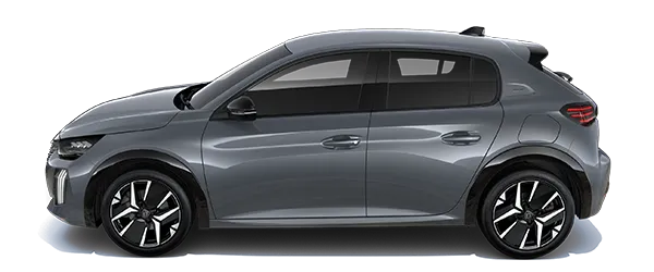 Selenyum Gri Metalik Fabrika Çıkış Rengi