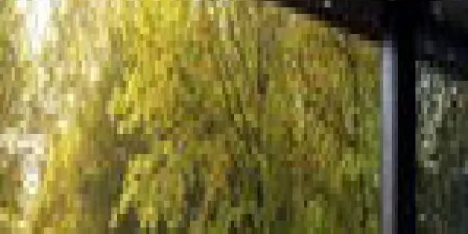 Renault Captur 2024 Renault  Captur - 1