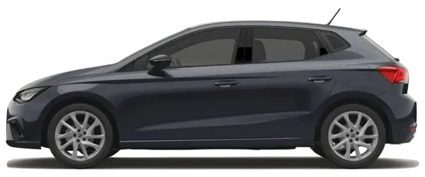 Seat İbiza Manyetik Gri Metalik Fabrika Çıkış Rengi