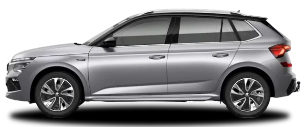 Gümüş Gri Fabrika Çıkış Rengi