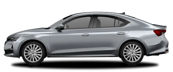 Gümüş Gri Fabrika Çıkış Rengi