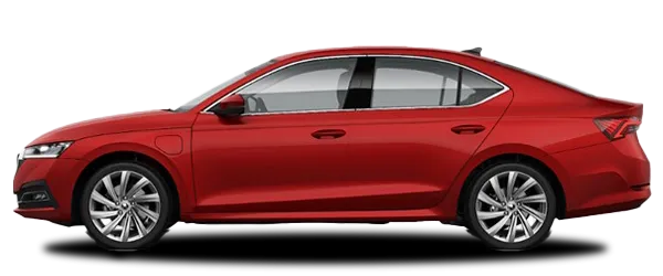 Kadife Kırmızı Fabrika Çıkış Rengi