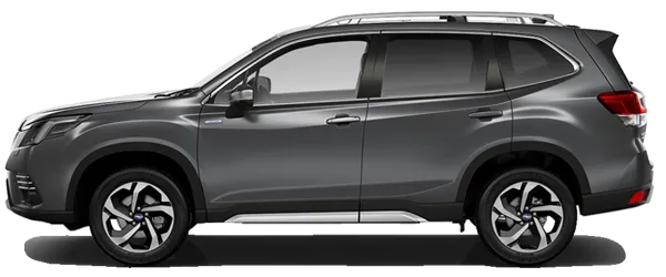 Manyetik Gri Fabrika Çıkış Rengi