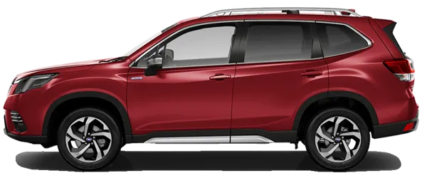 Yakut Kırmızı Fabrika Çıkış Rengi