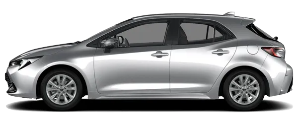 Parlak Gümüş Fabrika Çıkış Rengi