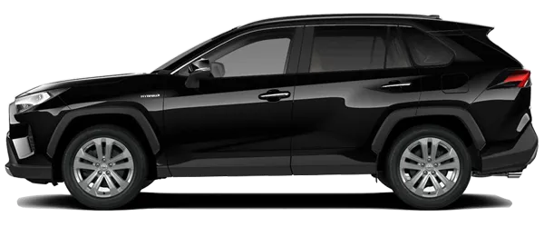 İnci Siyah Fabrika Çıkış Rengi