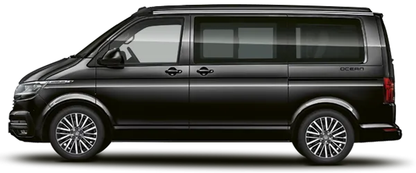 Sedefli Siyah Fabrika Çıkış Rengi