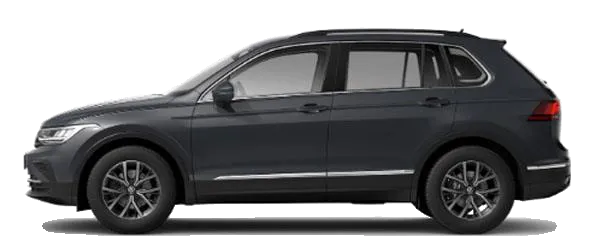 Yunus Grisi Fabrika Çıkış Rengi